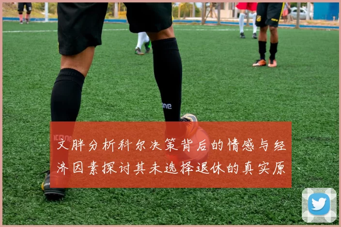 文胖分析科尔决策背后的情感与经济因素探讨其未选择退休的真实原因